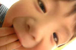豊富な専門コースが揃っている学校